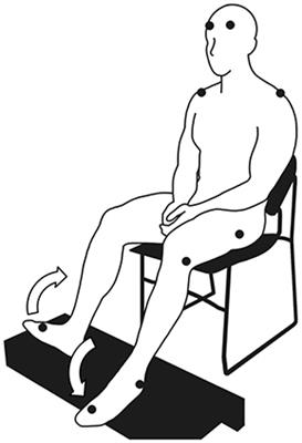 Dynamic Increase in Corticomuscular Coherence during Bilateral, Cyclical <mark class="highlighted">Ankle Movements</mark>